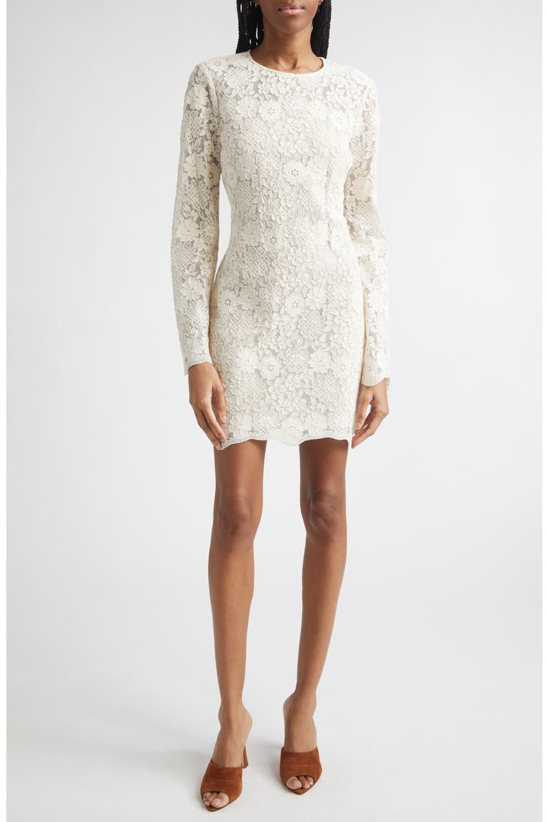 winter women dress 2018 lace Veronica Beard Women's Teresia Lace Minidress - Dove