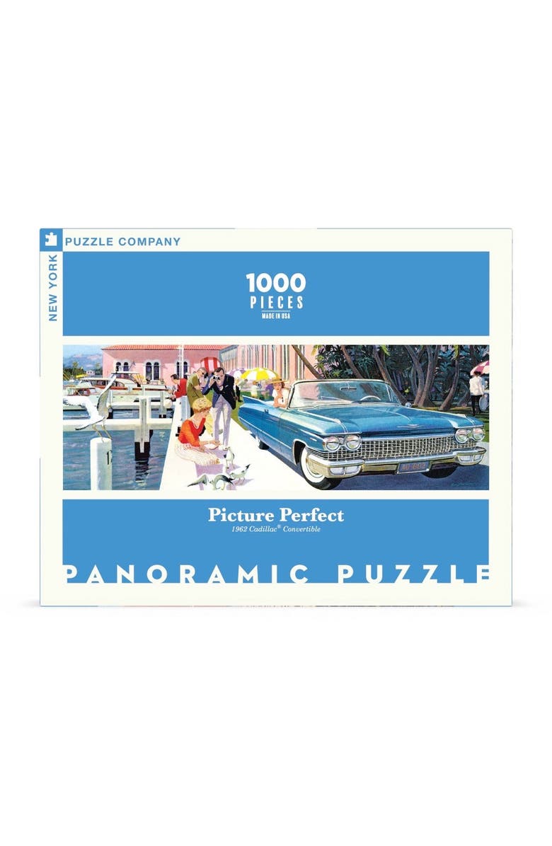 NEW YORK PUZZLE COMPANY Picture Perfect 1000 Piece Puzzle, Main, color, NO COLOR