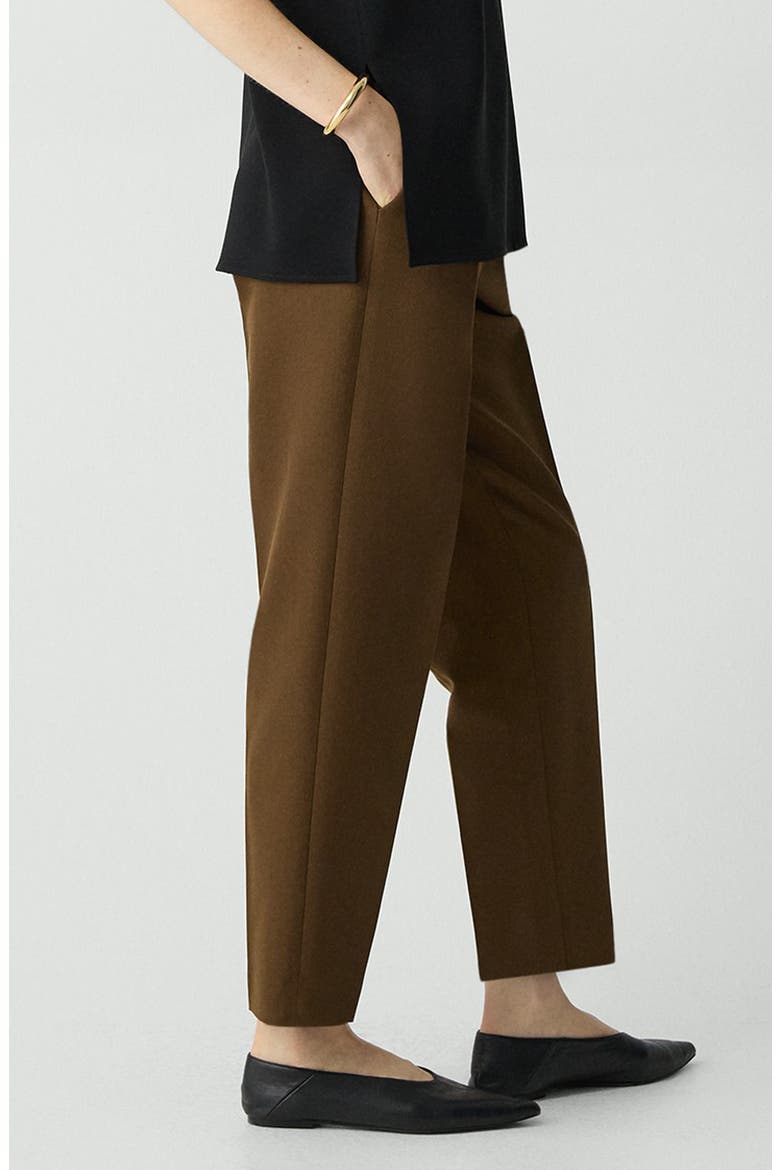 Wool Blend Pleated Pants, Alternate, color, CLOVE