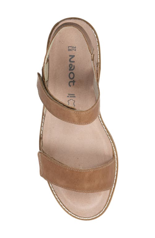 Naot Meringue Wedge Sandal In Latte Brown Leather W/camel