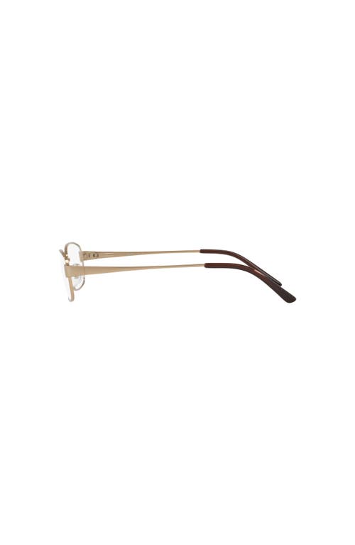 Sferoflex 53mm Irregular Optical Glasses In Neutral
