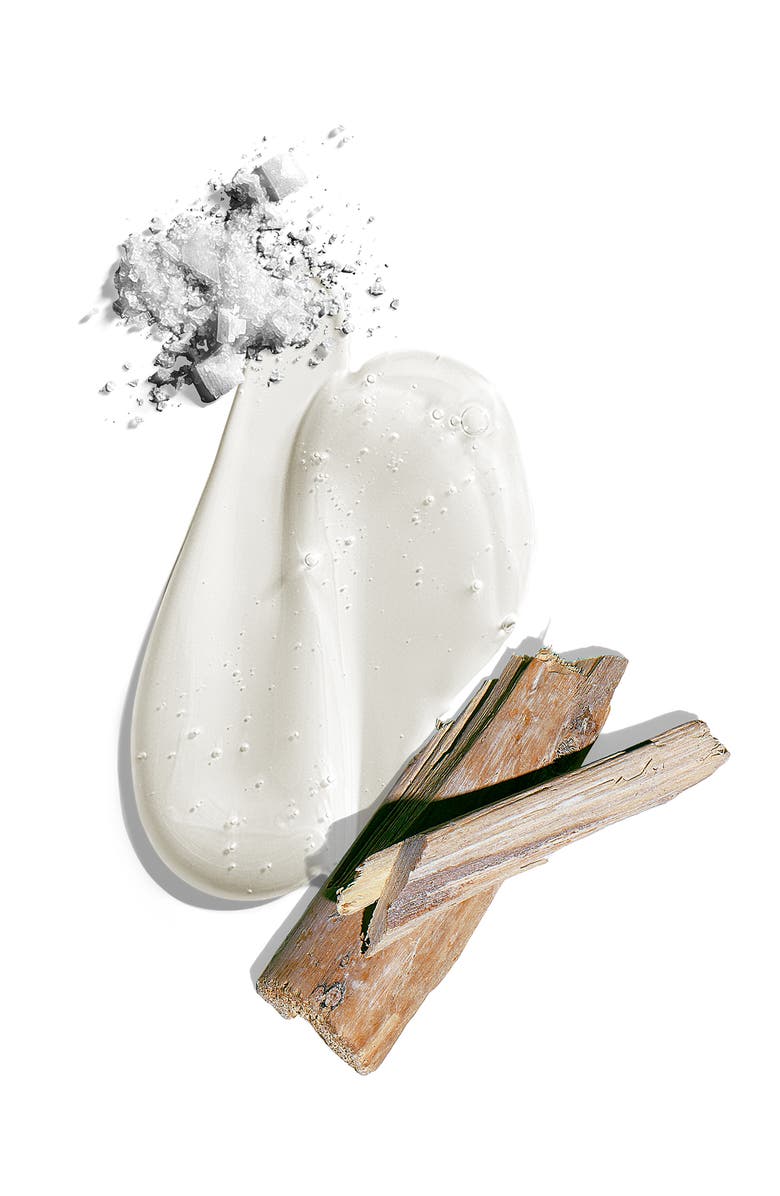 Jack Black Big Sir<sup>™</sup> Body & Hair Cleanser, Alternate, color,