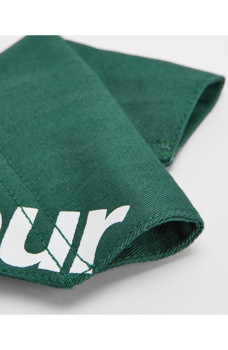 Barbour Logo Cotton Dog Bandana, Alternate, color, Green