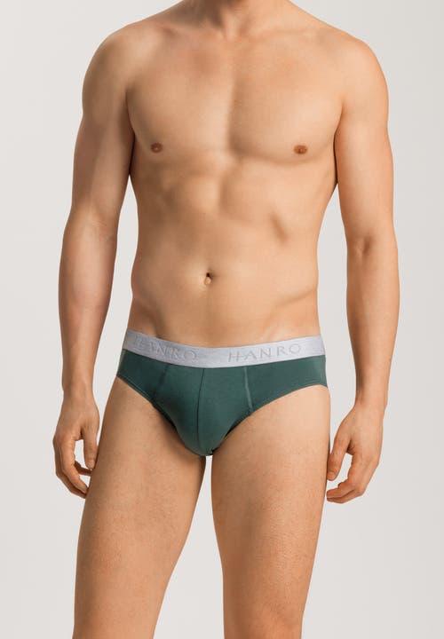 Hanro Cotton Essentials 2-pack Cotton Briefs In Multi