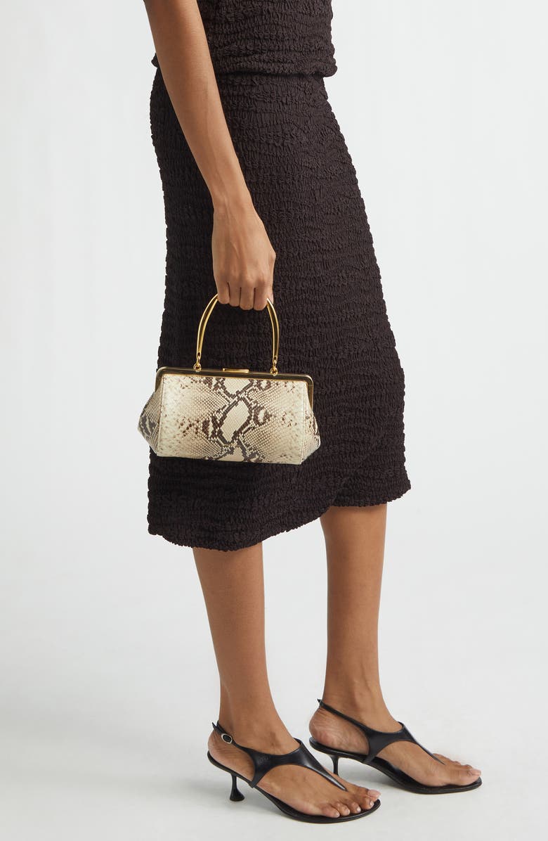 Mansur Gavriel Pina Evening Bag, Alternate, color, Roccia