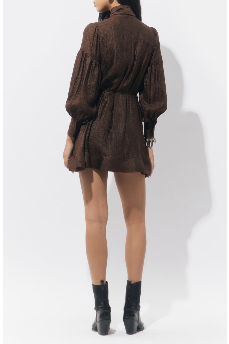 Daphne Metallic Long Sleeve Minidress, Alternate, color, CHOCOLATE BROWN