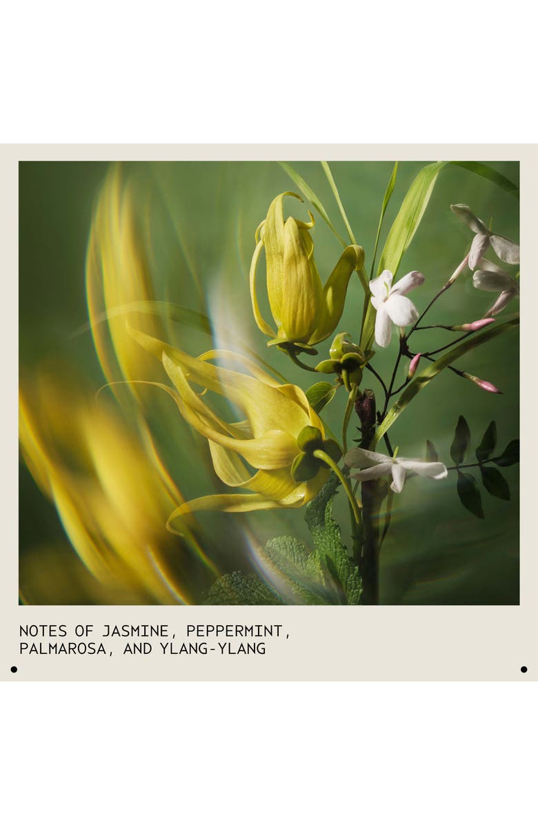 Aveda pure abundance<sup>™</sup> volumizing shampoo, Alternate, color, 