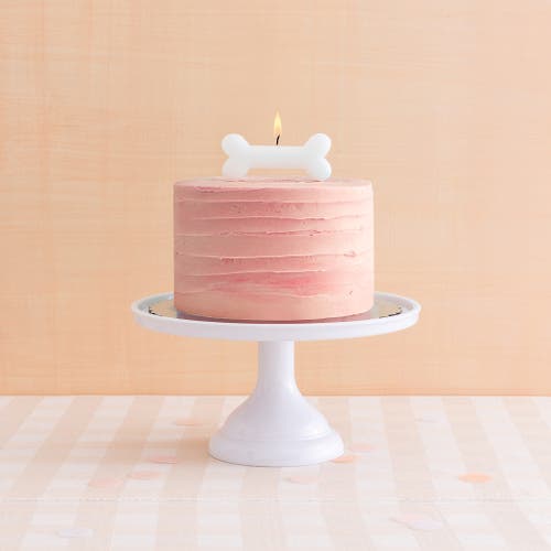 Daydream Society Bow Wow  Large Candle In Assorted Pre-pack