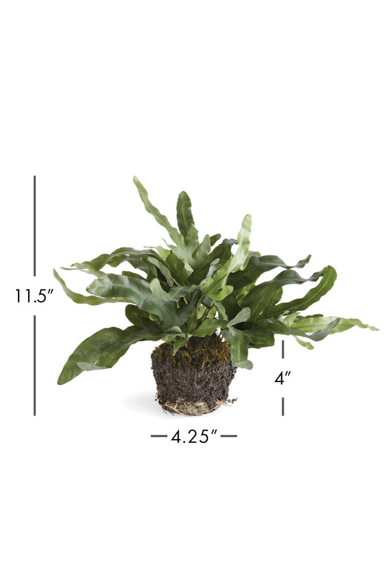 11.5" Echeveria Fern Drop-In Root Ball Faux Greenery Plant All Seasons, Alternate, color, Green