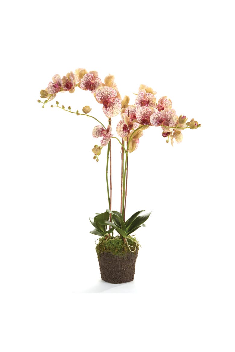 Phalaenopsis Orchid Faux (Fake) Drop-In 32", Main, color, Pink