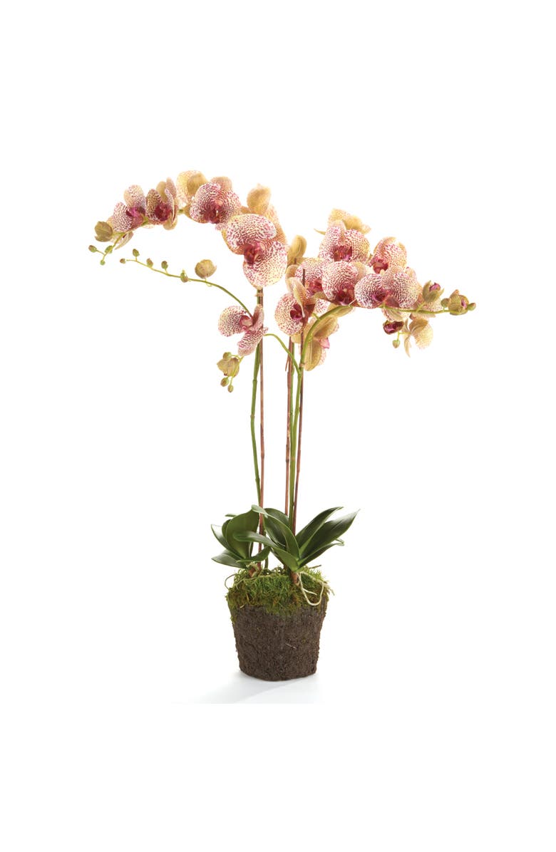 Napa Home & Garden Phalaenopsis Orchid Faux (Fake) Drop-In 32", Main, color, 