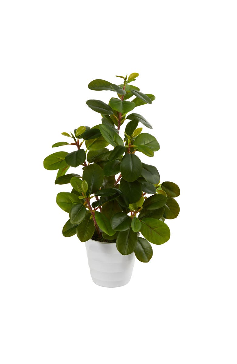 NEARLY NATURAL 16-in Peperomia Artificial Plant in Decorative Planter, Main, color, Green