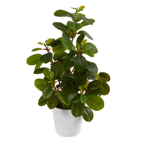 16-in Peperomia Artificial Plant in Decorative Planter