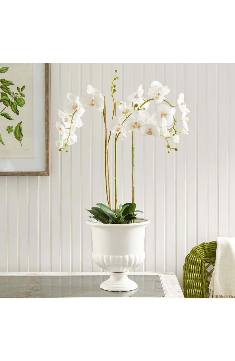 Napa Home & Garden Mirabelle Decorative Pedestal Bowl, Alternate, color, White