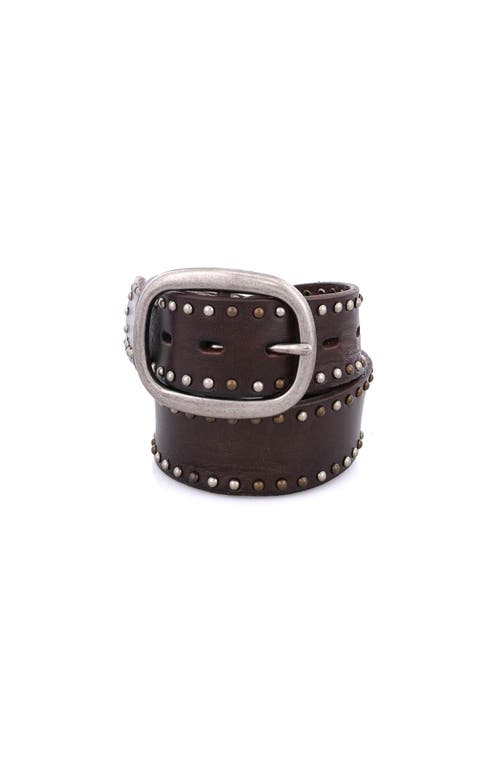Bed Stu Staple Belt In Brown