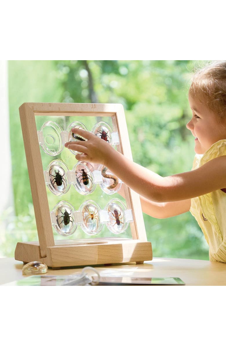 Kaplan Early Learning Company Specimen Stones Creepy Crawlers - 9 Stones, Alternate, color, Multicolored