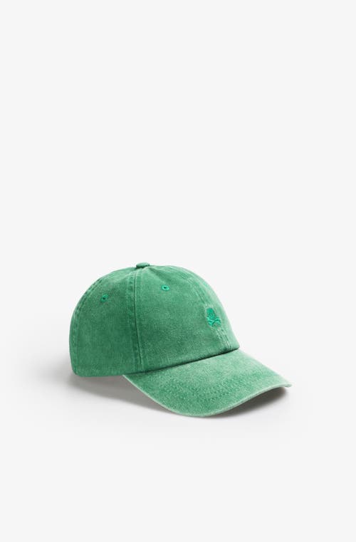 Scalpers Skull Basic Cap In Green