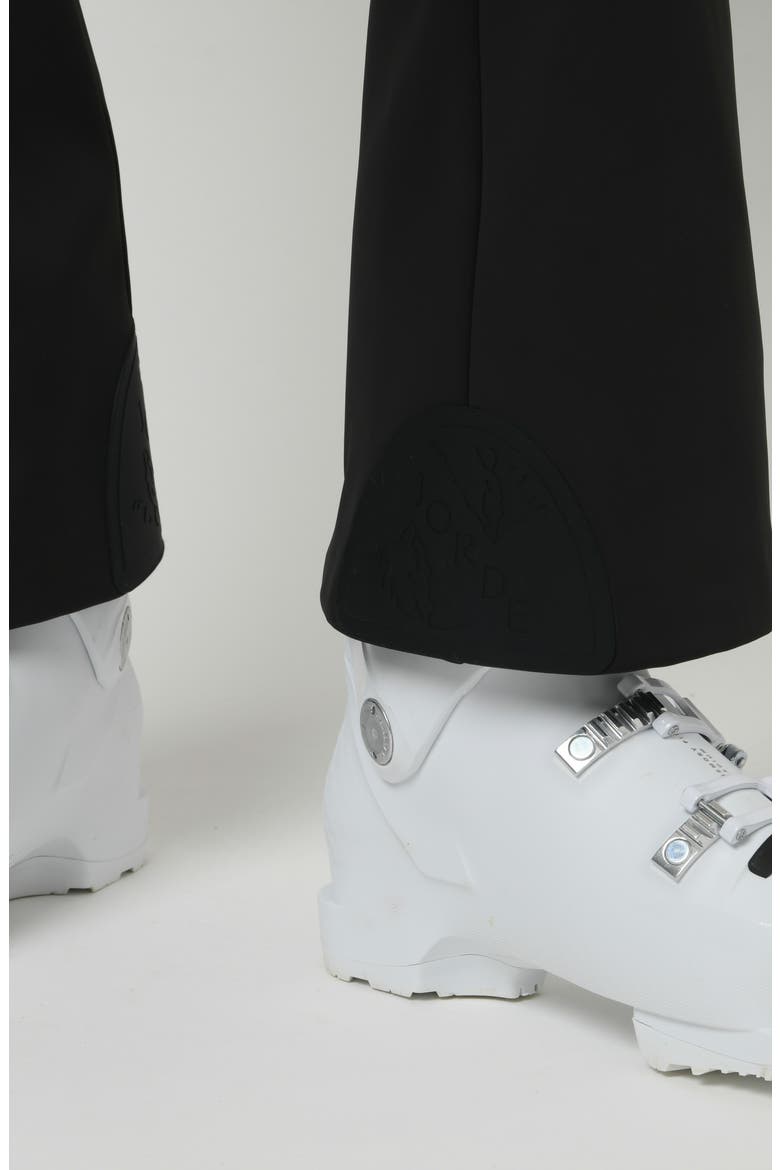 Lennon Ski Pants, Alternate, color, Black