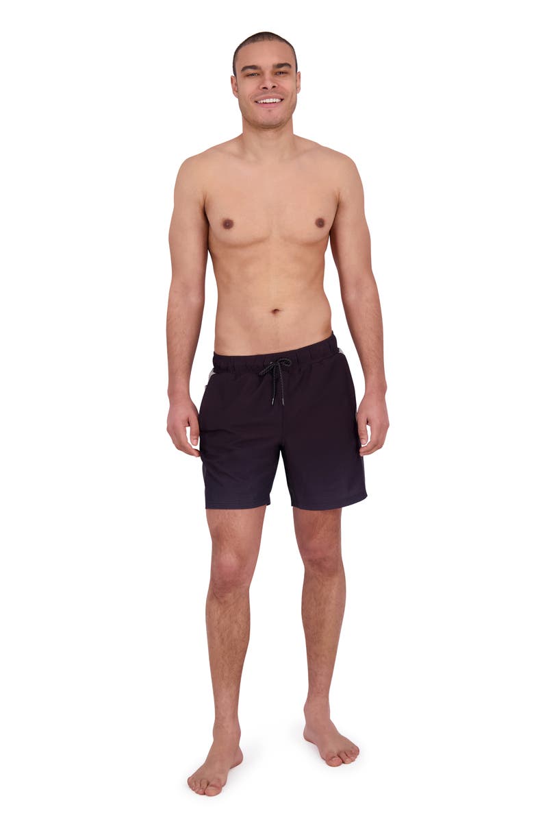 Spyder Volley Swim Trunks, Alternate, color, Black
