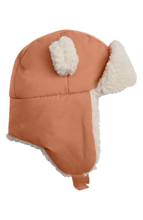 7 A.m. Enfant The Cub Benji Hat In Brown