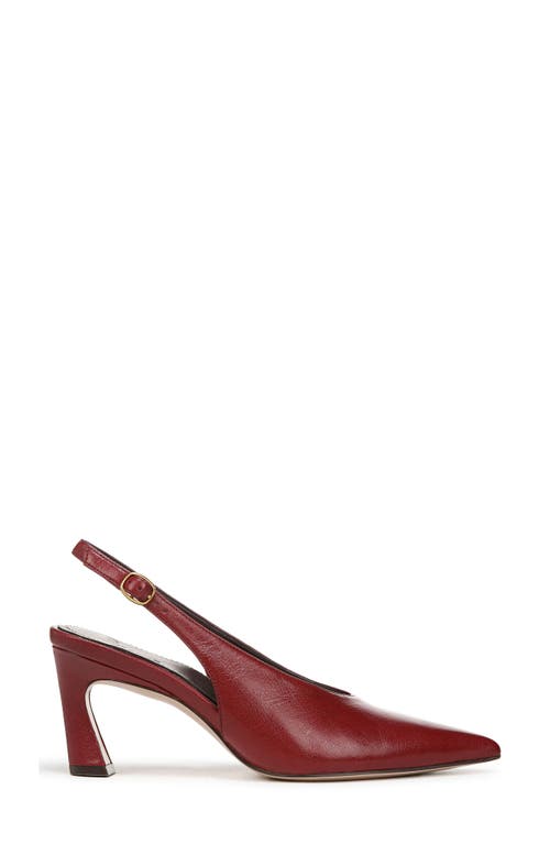 27 Edit Naturalizer Elaine Slingback Pointed Toe Pump