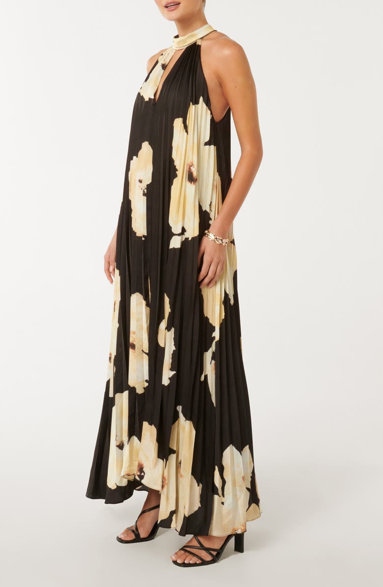 Ever New Saylor Floral Pleated Maxi Dress, Alternate, color, 