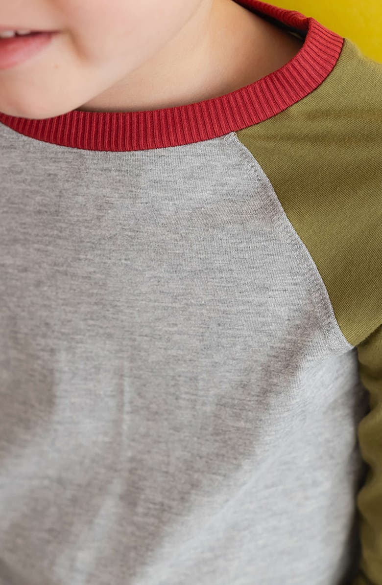 Mightly Organic Cotton Kids Long Sleeve T-Shirt 2-pack, Alternate, color, Olive, Rust And Heather Gray