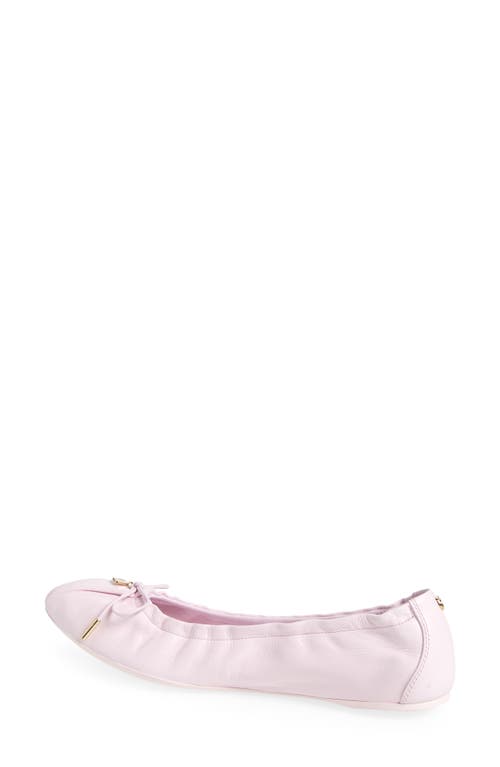 Ferragamo Joelle Elasticated Ballet Flats In Cotton Candy