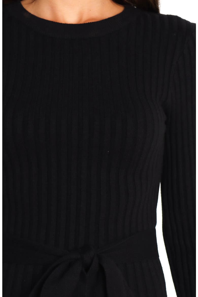 Rhianna Belted Long Sleeve Rib Sweater Dress, Alternate, color, BLACK