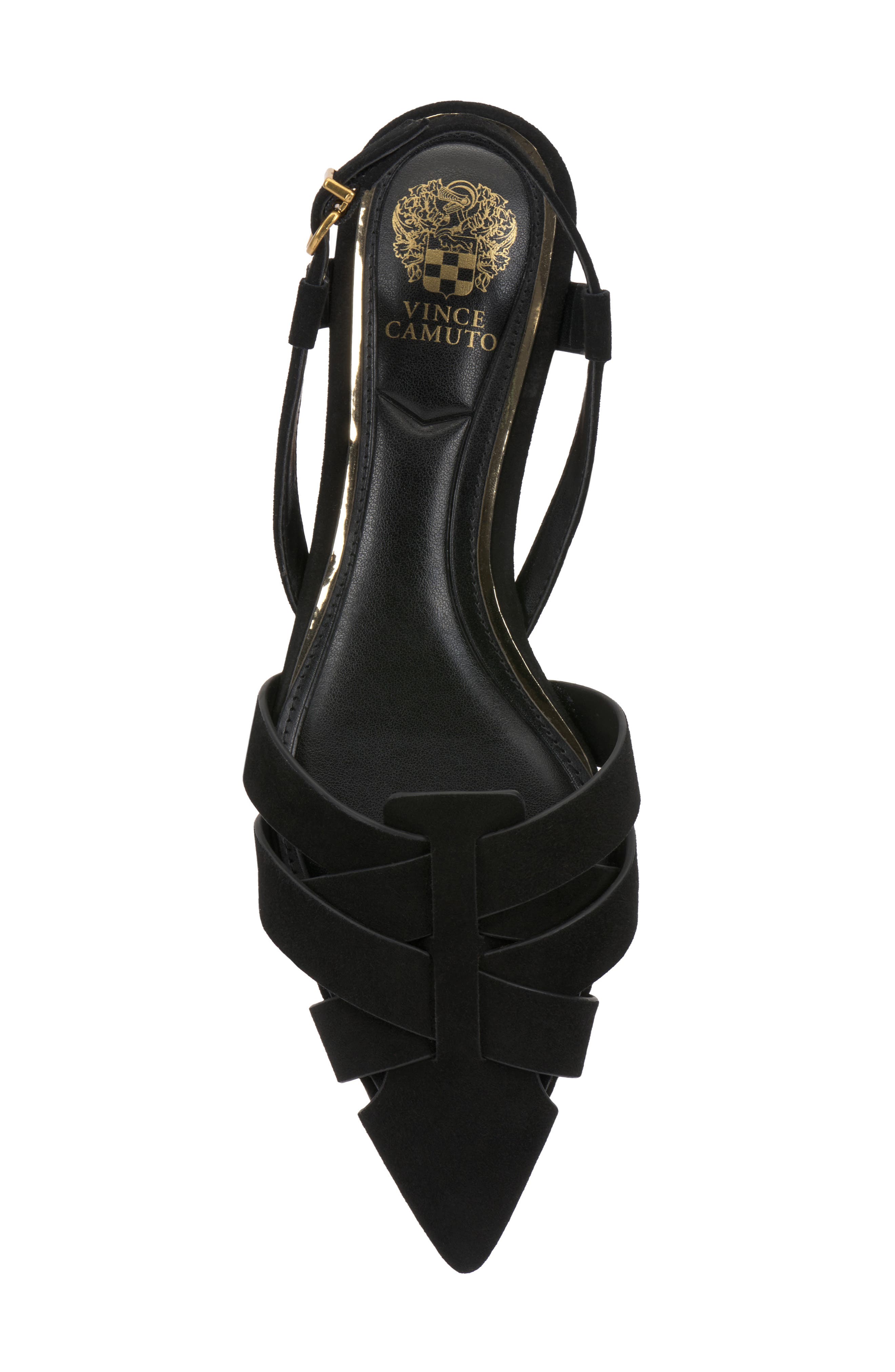 Vinesha Slingback Pointed Toe Pump, Alternate, color, BLACK