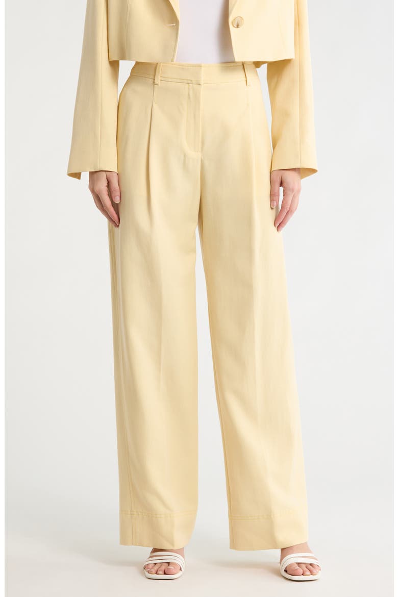 Ansolina Relaxed Fit Pants, Main, color, BT YL