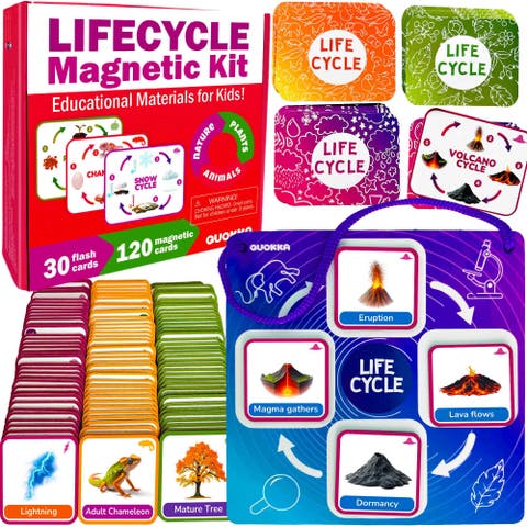 Kids Magnetic Learning Cards Set Life Cycle