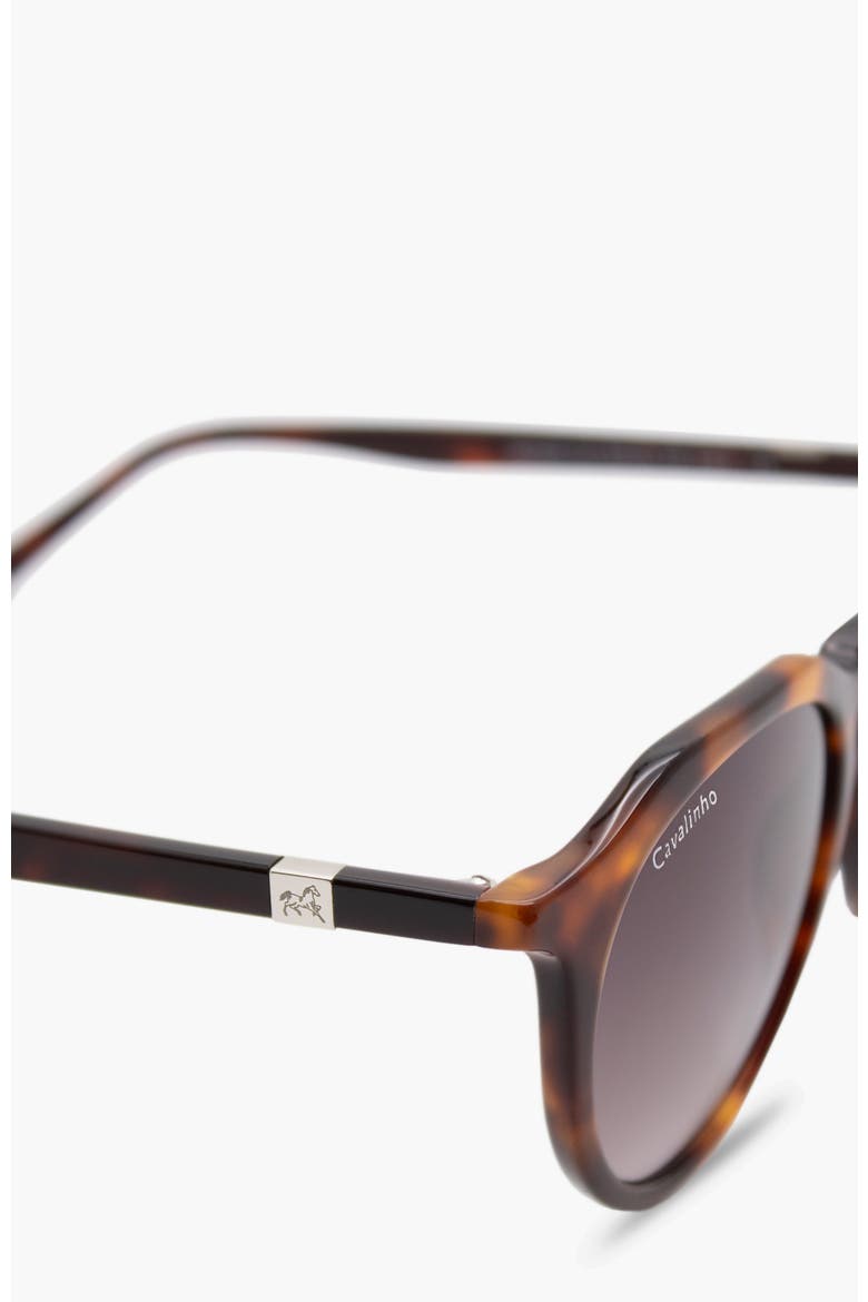 Sunglasses City, Alternate, color, Brown