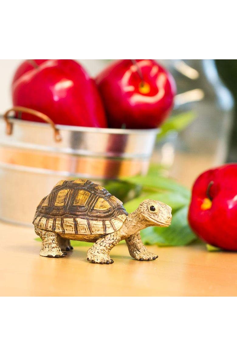 Tortoise Toy, Alternate, color, No Color