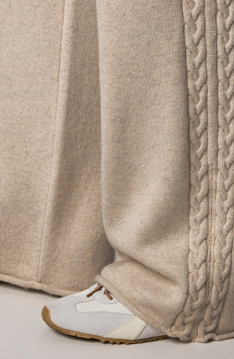 Splendid Jetset Sweater Pants, Alternate, color, Cappuccino Brown