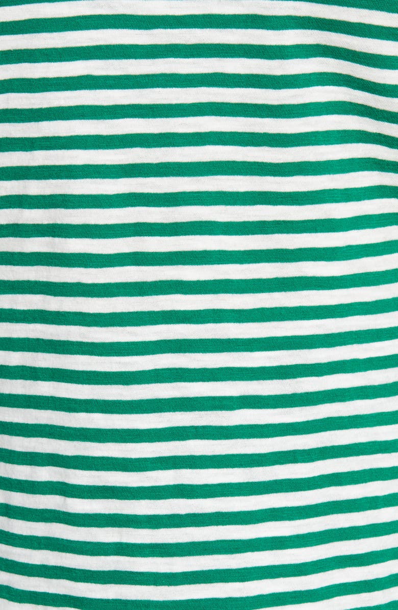 Caslon<sup>®</sup> Scoop Neck Organic Cotton T-Shirt, Alternate, color,