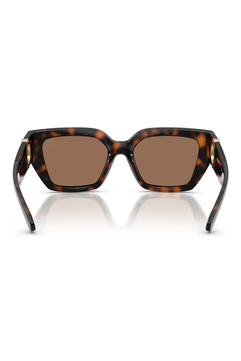 53mm Square Sunglasses, Alternate, color, DARK HAVANA / DARK BROWN