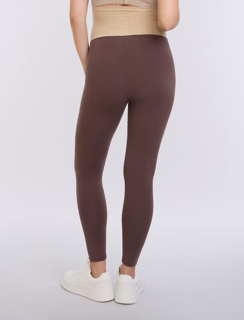 Motherhood Maternity Essential Stretch Secret Fit Over The Belly Maternity Leggings In Brown