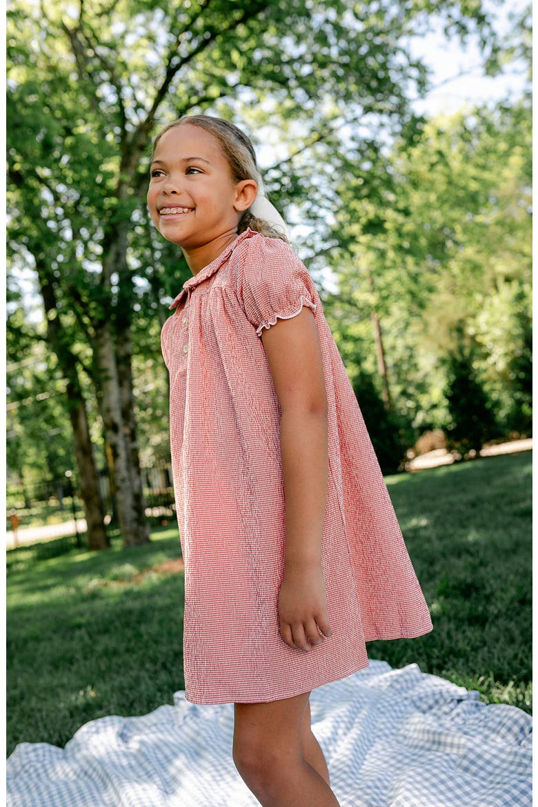 Libby Dress, Alternate, color, Red Gingham