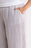 Eileen Fisher Ankle Wide Leg Pants