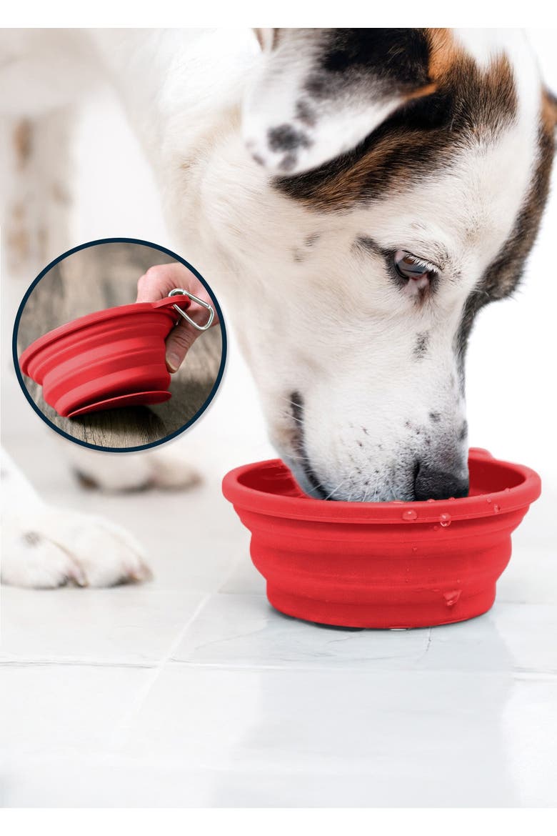 Slow-Feeding, BPA-Free Silicone Travel Dog Bowl, Alternate, color, Ruby Red