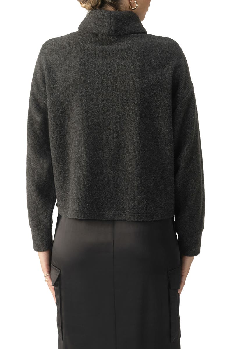 Sanctuary Everyday Cozy Knit Popover Top, Alternate, color,