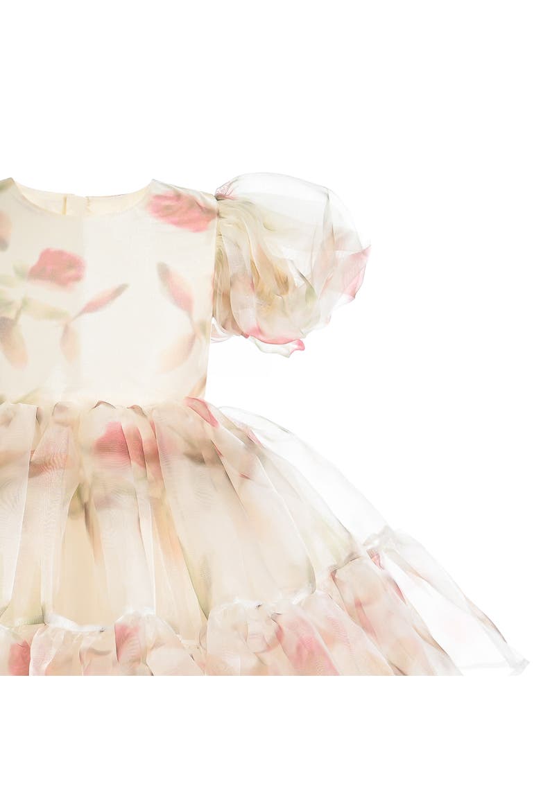 Elanora Floral Organza Dress, Alternate, color, Cream