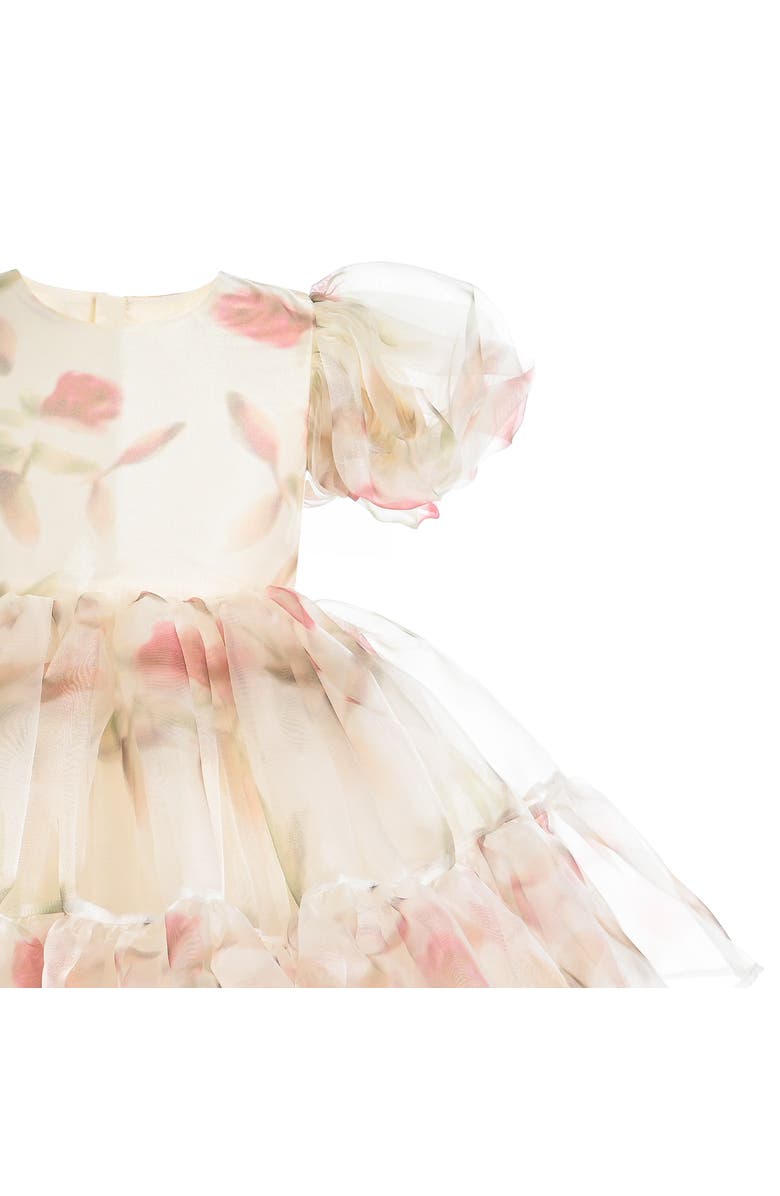Tulleen Elanora Floral Organza Dress, Alternate, color, Cream