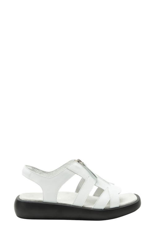 Alegria By Pg Lite Palmer Sandal In White