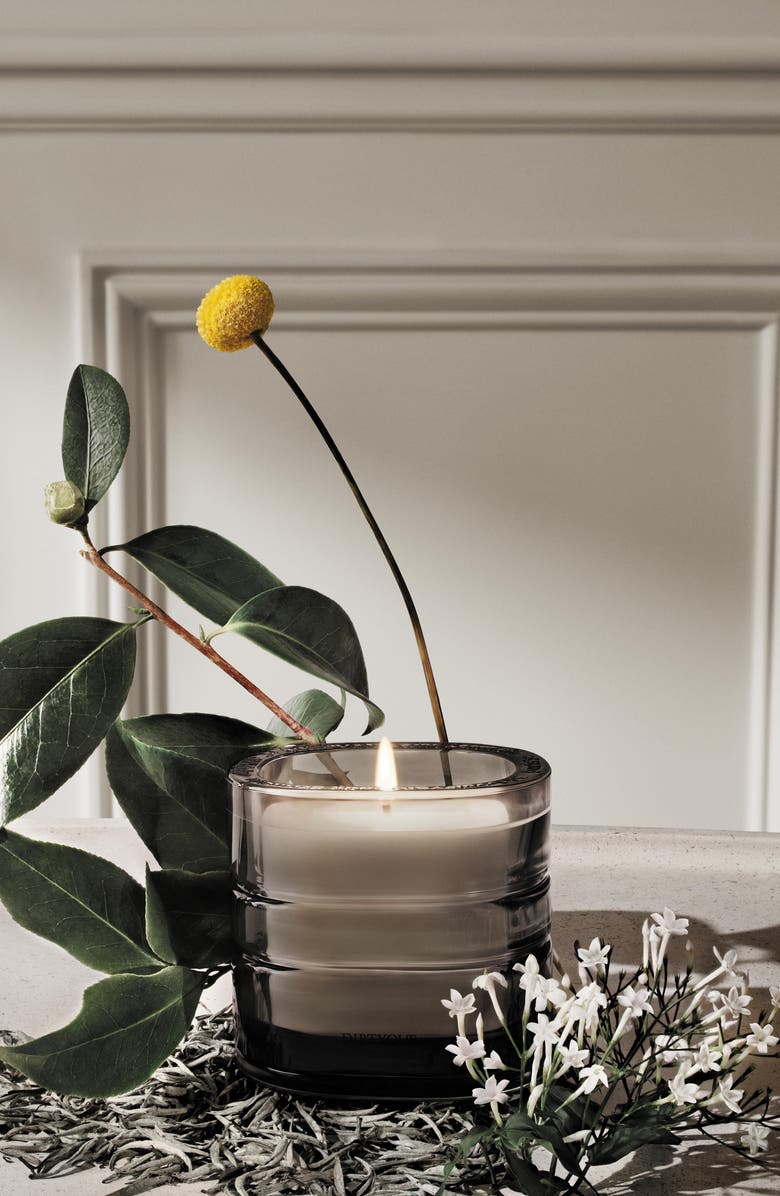 Diptyque La Vallée du Temps (Valley of Time) Refillable Candle, Alternate, color, Regular