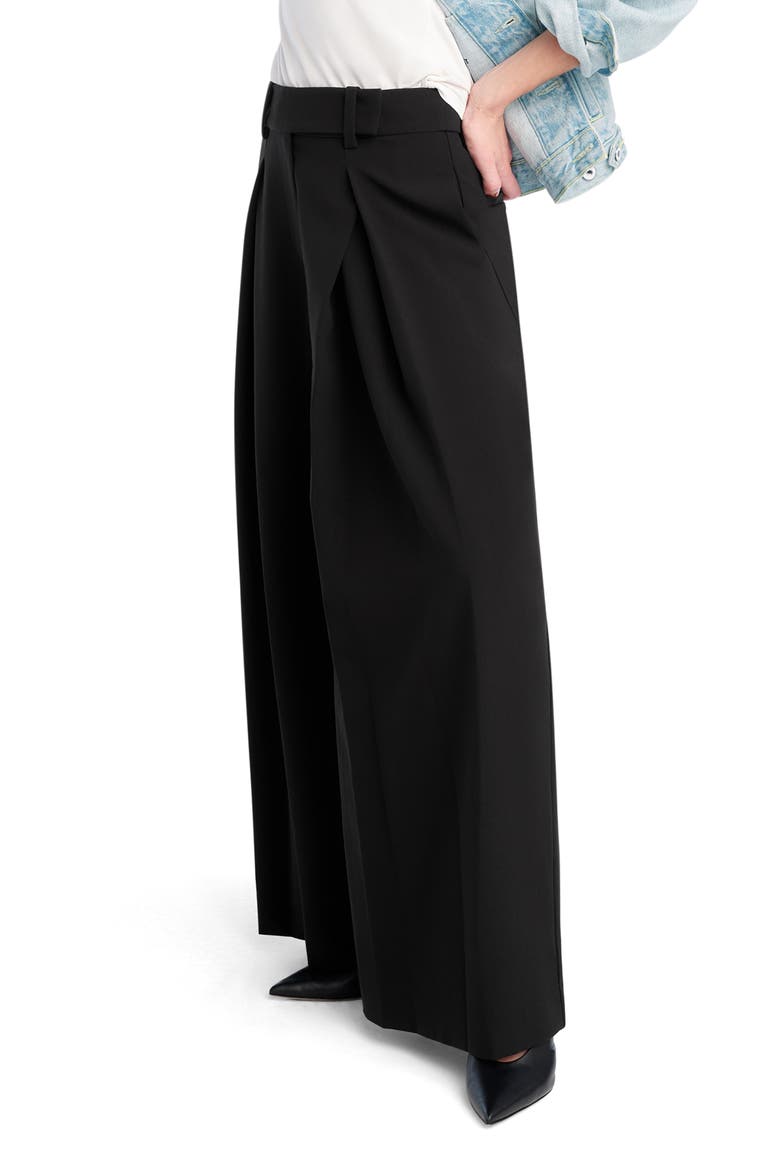 Pleats for Days Wide Leg Pants, Alternate, color, BLACK