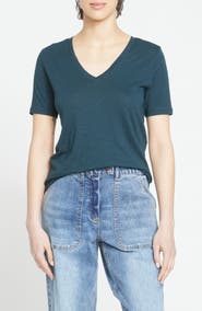 Universal Standard Light as Air V-Rex T-Shirt