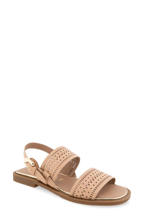AEROSOLES AEROSOLES CAROLE SLINGBACK SANDAL 