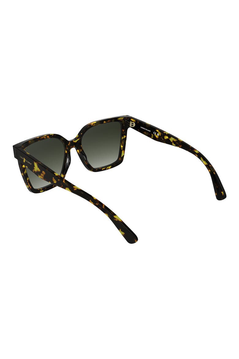 Roseau 55mm Modified Rectangular Sunglasses, Alternate, color, DARK HAVANA